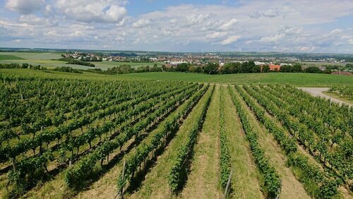 Weinbergshof Rickel, Đặt Khách sạn Mainbernheim Steigerwald