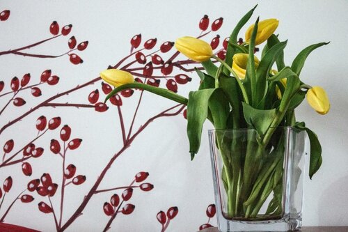 Orvieto Aroma Rooms 2, Prenota Hotel Orvieto Umbria