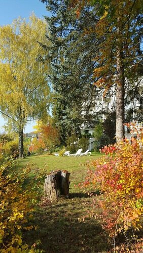 Vitalhotel König am Park, Réserver Hôtel Hôtels SPA à Bade-Wurtemberg, SPA