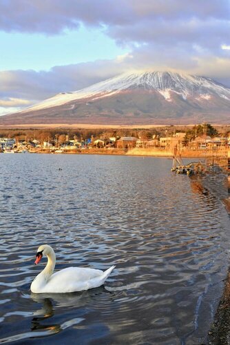 Hotel Mt. Fuji, Забронировать Отель Яманакако 
