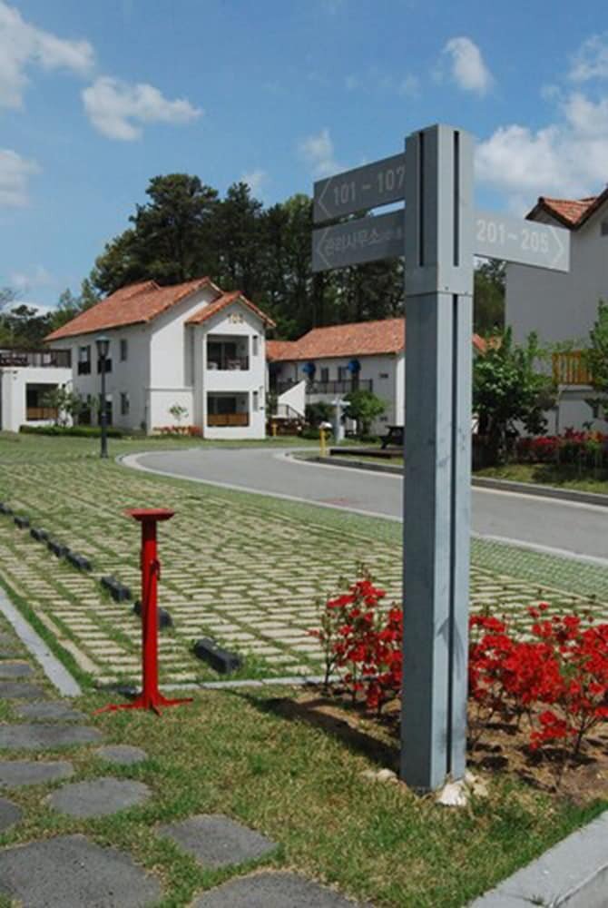 Meta Pension, DamYang