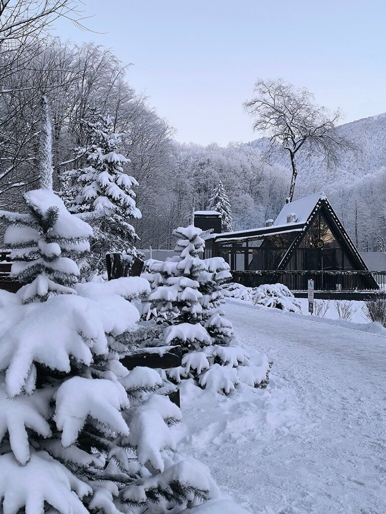 Альпина парк