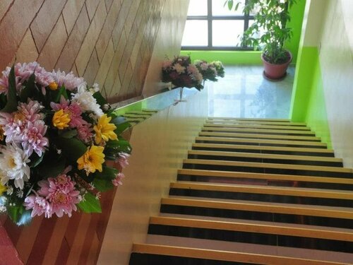 Emelina Pension, Prenota Hotel Arrecife Island Filippine