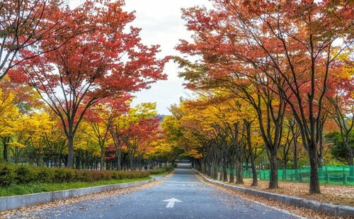 Economy Hotel Incheon Bupyeong Branch, Reserva ahora Hotel Bupyeong-gu 