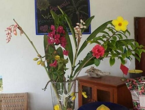 Hotel Cocoloco, Book Hotel Hotels in Veracruz with a Pool, Swimming Pool