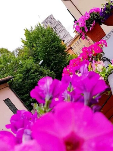 Hotel Francesco, Prenota Hotel Pisa Toscana, vicino a Battistero