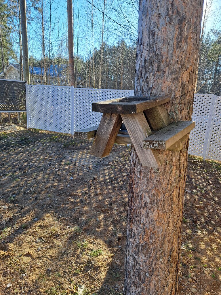Лунный свет