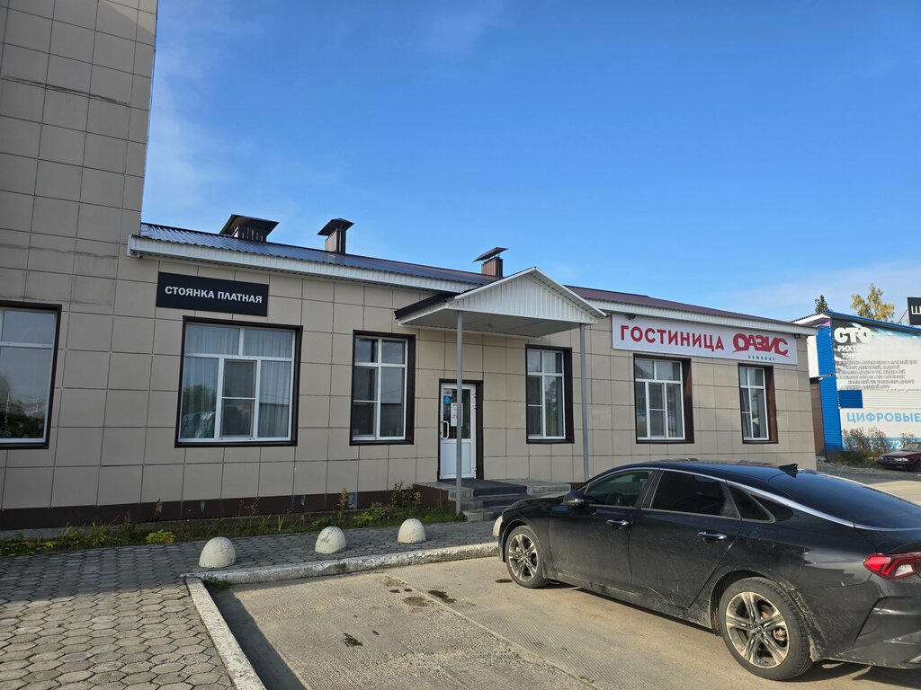 Оазис
