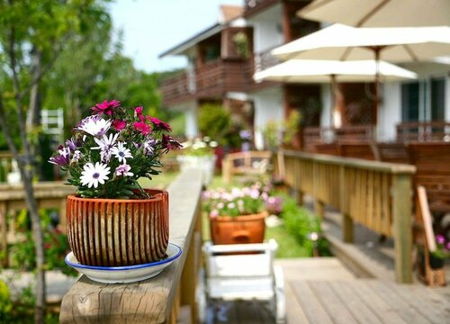 Spa Pension Basso, Забронировать Курортный отель Сокчхо Канвондо
