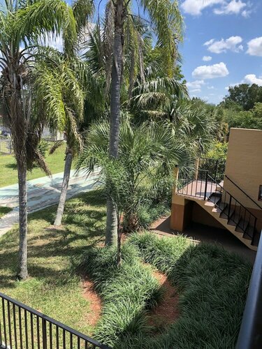 Travelodge by Wyndham Fort Myers Cape Coral, Забронировать Отель Отели Fort Myers Area с бассейном, Бассейн