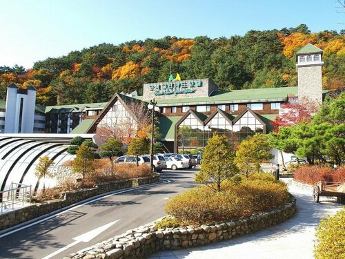 Osaek Greenyard Hotel, Buchen Sie Hotel Yangyang Gangwon-Do