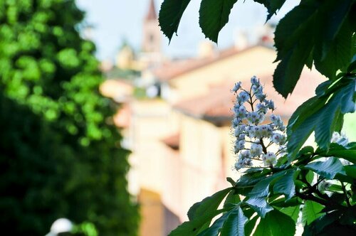 B&B Al Parco Giardini Margherita, Забронировать Отель Болонья провинция Болонья