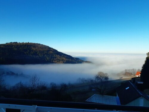 Berghof Grüner Baum, Buchen Sie Hotel Sasbachwalden Schwarzwald