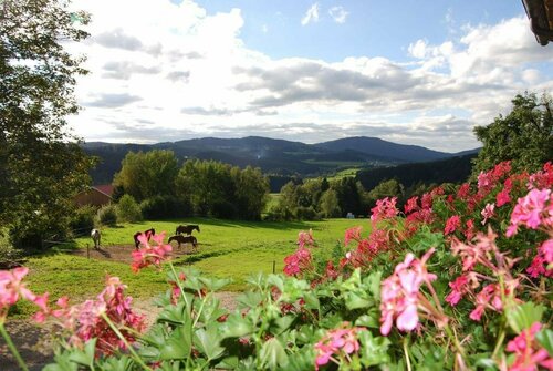 Familienferienhof Kroner, Prenota Hotel Zwiesel Grosser Arber