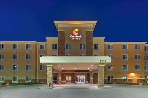 Comfort Suites Conference Center Rapid City, Забронировать Отель Рапид-Сити Black Hills National Forest