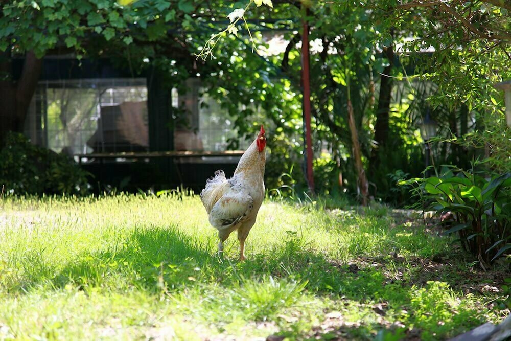 Emek Pension