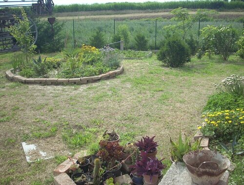 B&B Da Toni, Prenota Bed & breakfast Taglio di Po 