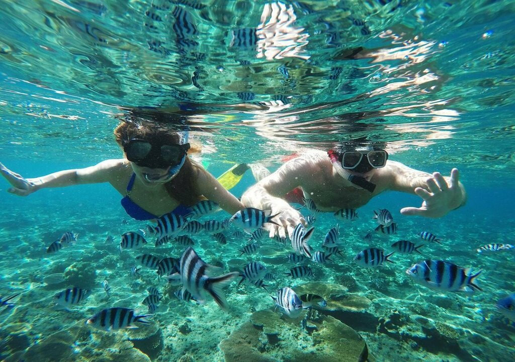 Tropica Island Resort
