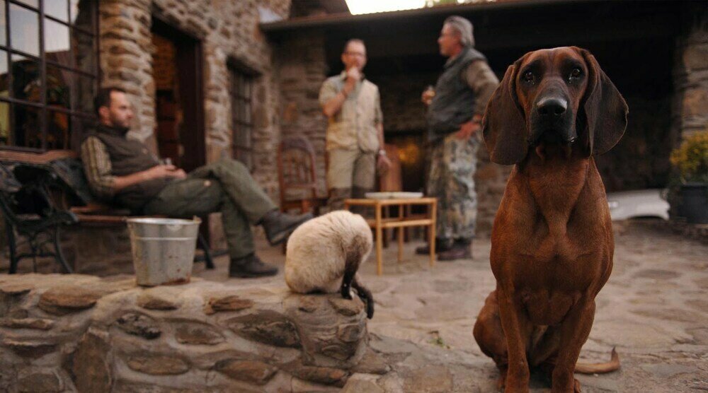 Leopard Lodge