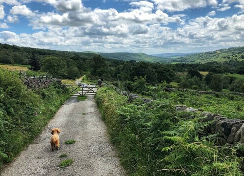 Millstone Country Inn, Varaa Matkakoti Hathersage Derbyshire