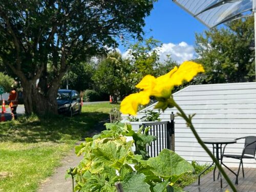Modern Private Studio Auckland-Private Entrance-Free Parking-Near CBD, Забронировать Отель Отели и гостиницы Окленда, рядом с One Tree Hill Domain, Отель