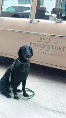 Fisher's Loft Hotel, Rezervasyon Otel Innenstadt Lübeck