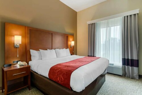 Comfort Suites Kingsport South, Забронировать Отель Кингспорт Теннесси