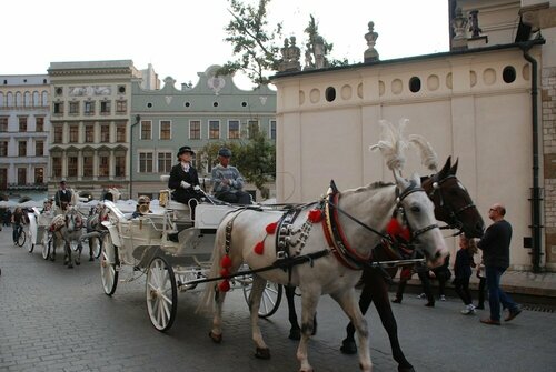 Hotel Kazimierz II, Забронировать Отель Старый город Краков, рядом с Церковь Святого Креста