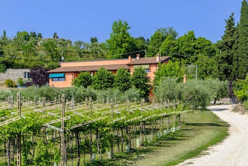 Al Colle, Забронировать Фермерский дом Отели Garda Veneto с завтраком, Завтраки