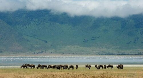 Ngorongoro Serena Safari Lodge, Забронировать Дом для отпуска Кратер Нгоронгоро Аруша