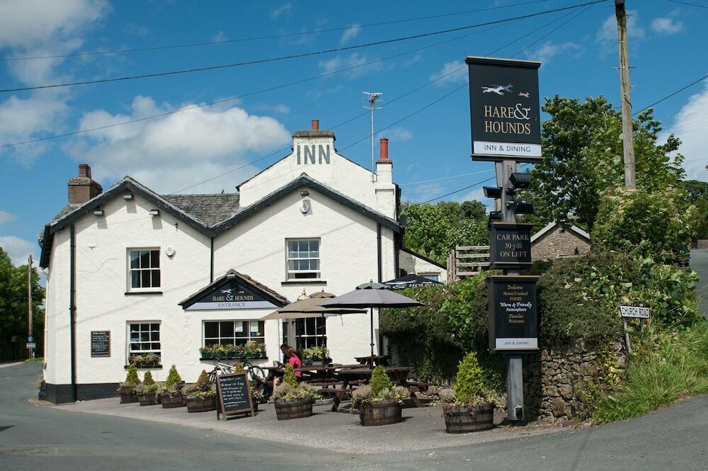 Hare Hounds