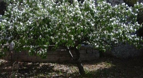 La Collina dei Ciliegi, Забронировать Отель Отели Barbagia с завтраком, Завтраки