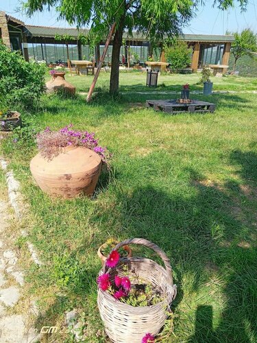 Kardeliz Butik Otel, Забронировать Отель Отели Зейтинликой 3 звезды, 3*