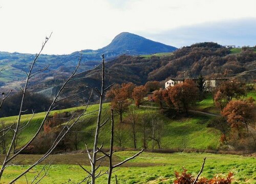 Farm stay Agriturismo la Borgaccia, Buchen Sie Bauernhof Baiso Emilia-Romagna