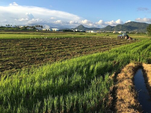 Beras Manor Kenting, Забронировать Отель «постель и завтрак» Отели Хеньчунь с завтраком, Завтраки