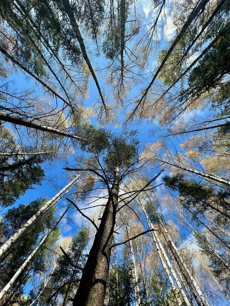 Скрытово. Дачи