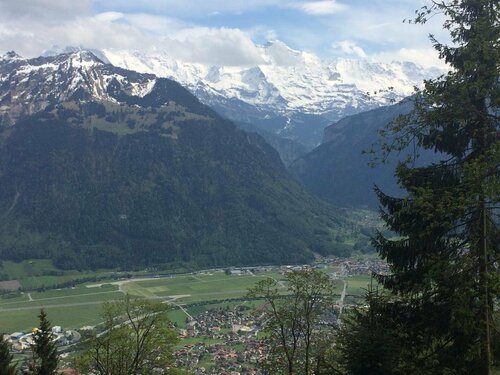Hotel Interlaken, Prenota Hotel Hotel a Interlaken con colazione, Colazione