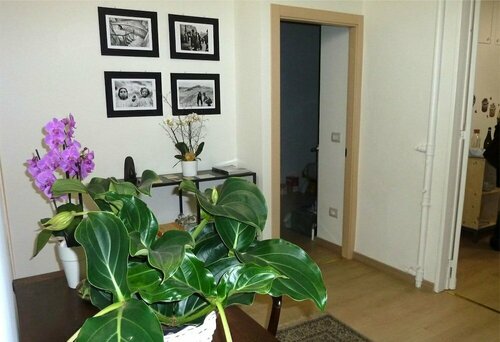 B&B Susasei, Prenota Bed & breakfast Hotel a Piemonte con parcheggio, Parcheggio