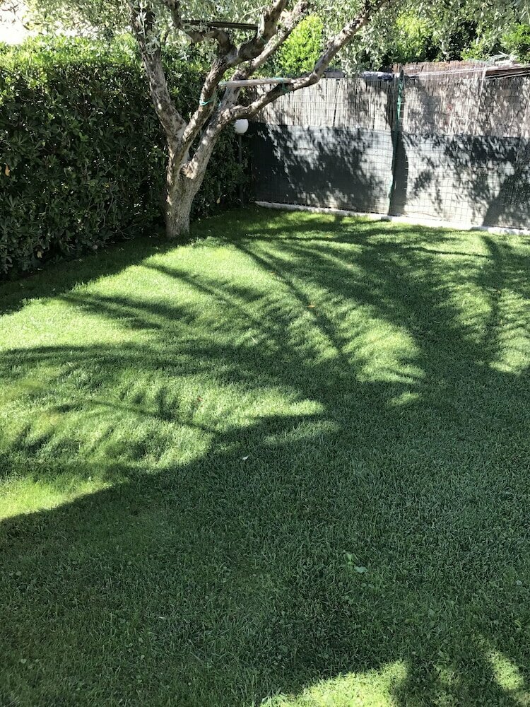 Rispescia