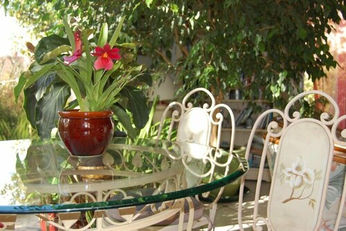 Couette Et Cafe Crème, Reserva ahora Bed & breakfast Hoteles en Centro con aparcamiento, Aparcamiento