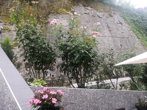 Il Roseto, Prenota Bed & breakfast Hotel a Frosinone con parcheggio, Parcheggio