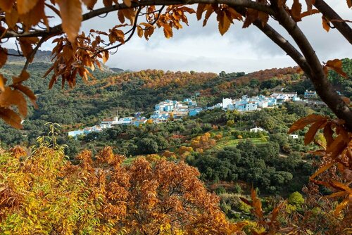 Secret Garden Retreats, Забронировать Отель Отели провинции Малаги 3 звезды, 3*