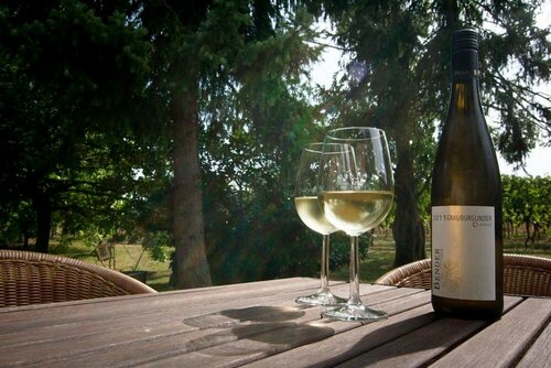 Ferienzimmer BlatnerS Bissersheim, Забронировать Гостевой дом Бад-Дюркхайм Wine Route