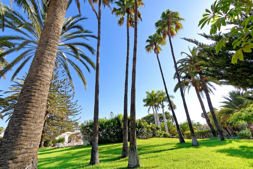 Parque Paraiso I