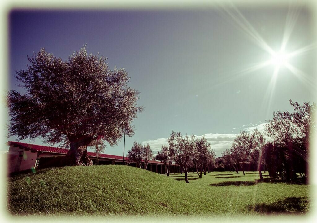 All Ways Garden Hotel