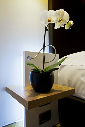 Hotel Gravina San Pietro, Book Hotel Aurelio Rom, nær Villa Aurelia