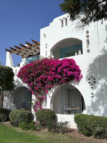 Domina Coral Bay Resort, Diving, SPA & Casino, Забронировать Отель Шарм-эш-Шейх Южный Синай, рядом с Пляж Корал Бей