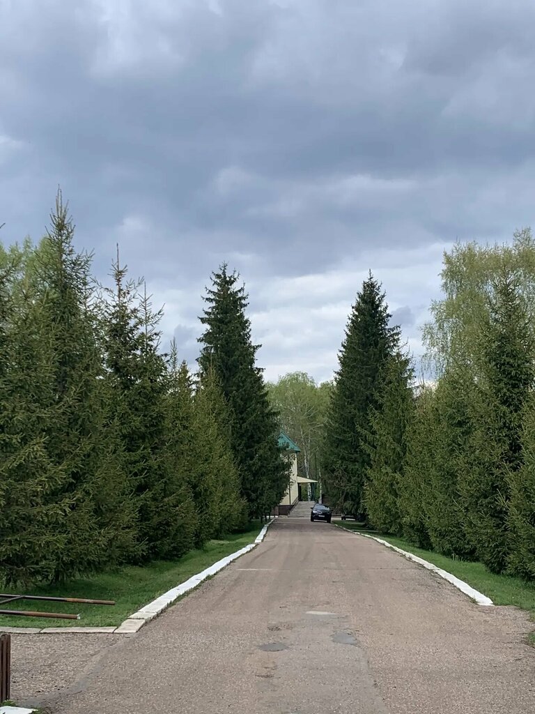 Новый ковчег