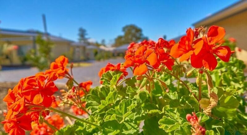 Hunter Morpeth Motel and Villas