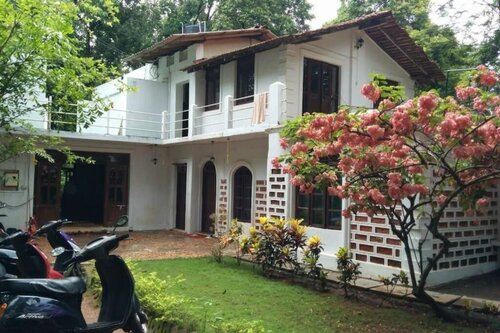 JUNGLE by thehostelcrowd, Foglalás Szálloda Vagator North Goa